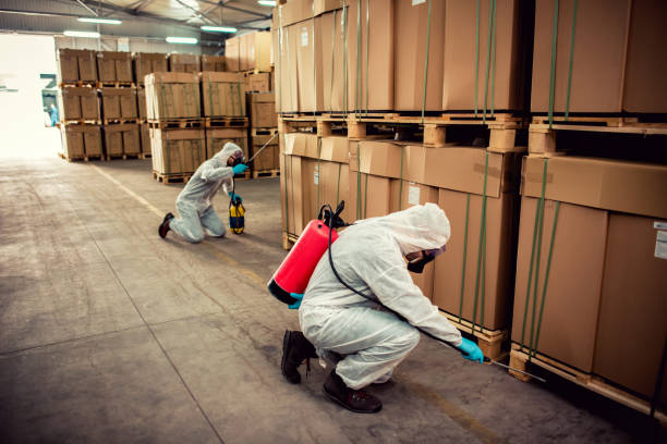 Best Cockroach Control Services  in San Martin, CA