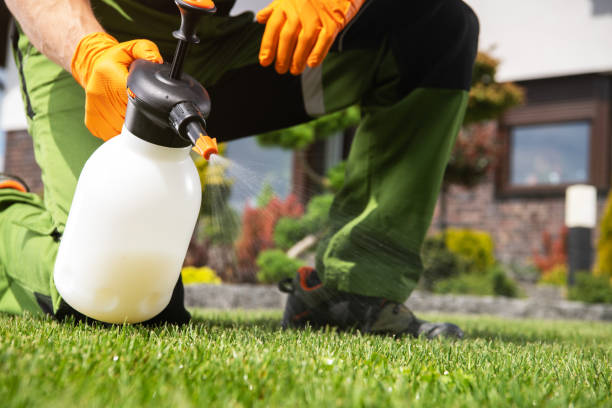 Pest Control Cost in San Martin, CA