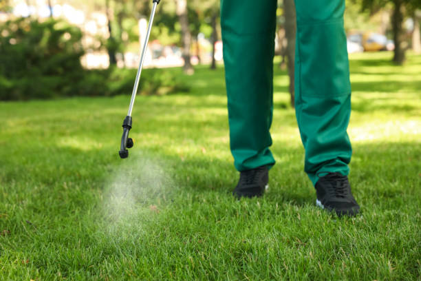 Best Insect Control  in San Martin, CA