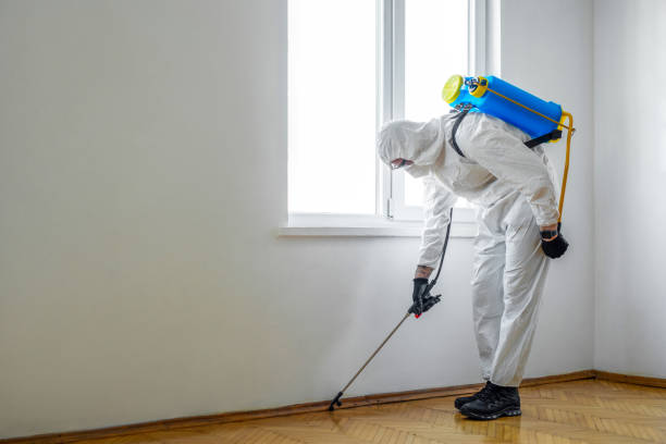 Best Pest Inspection Near Me  in San Martin, CA