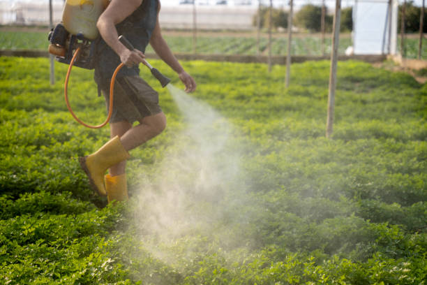 Best Commercial Pest Control Services  in San Martin, CA