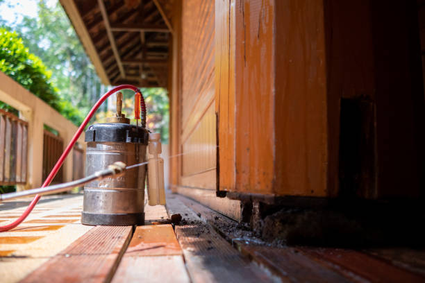 Best Exterminator Services  in San Martin, CA