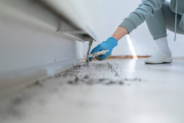 Best Mosquito Control Services  in San Martin, CA