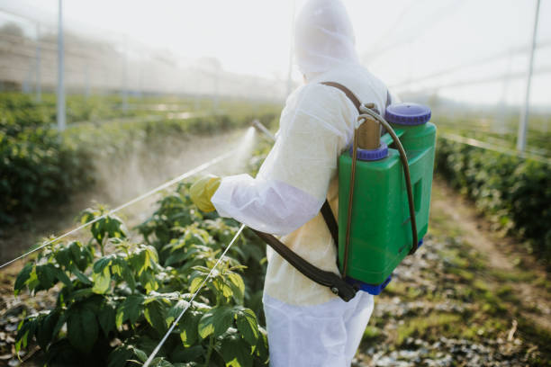  San Martin, CA Pest Control Pros